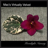 Mac's Virtually Velvet